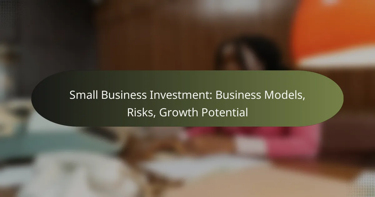 featured-image-small-business-investment-business-models-risks-growth-potential